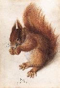 HOFFMANN, Hans Squirrel wf Spain oil painting artist